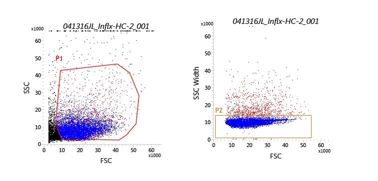 Prox1 Antibody (5G10) [DyLight 550] NBP1-30045R