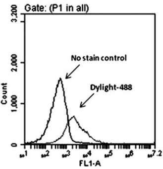 Mas Antibody - BSA Free NLS1531