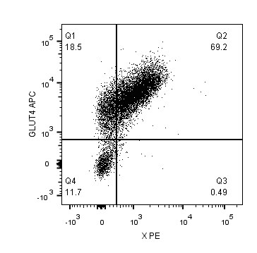 Glut4 Antibody [Biotin] NBP1-49533B