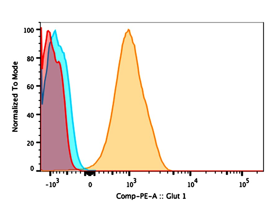 Glut1 Antibody [PE] NB110-39113PE