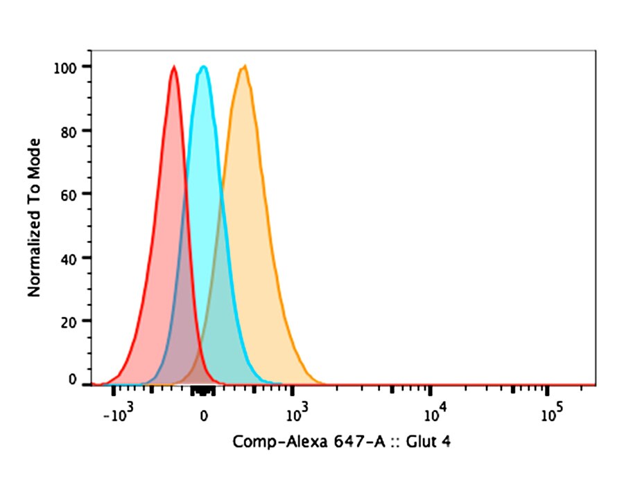 Glut4 Antibody [Alexa Fluor® 647] NBP1-49533AF647