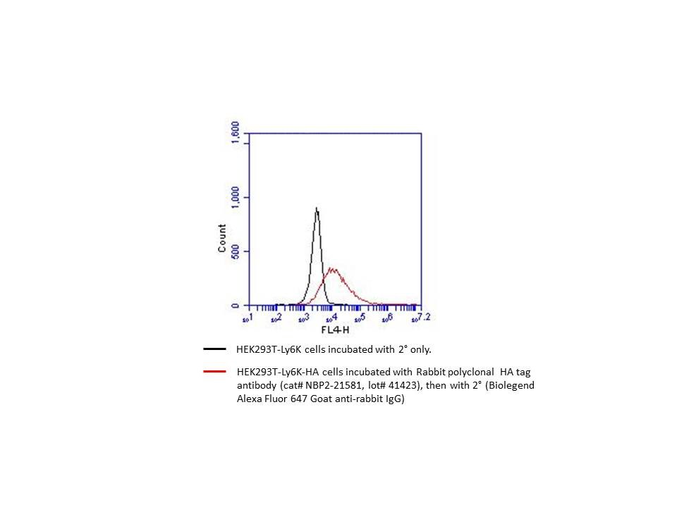 HA Tag Antibody NBP2-21581