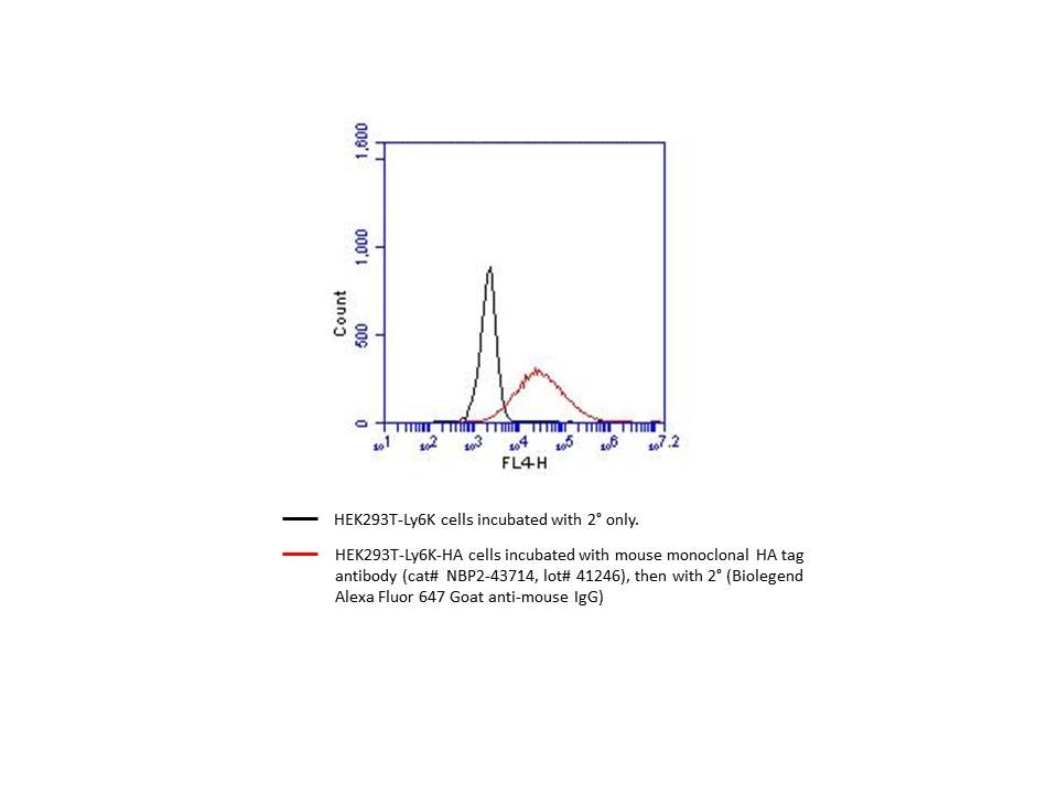 HA Tag Antibody (4810) - Azide and BSA Free NBP2-43714