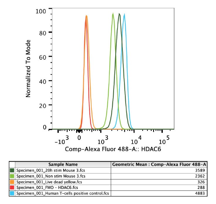HDAC6 Antibody [Alexa Fluor® 488] NBP1-78981AF488