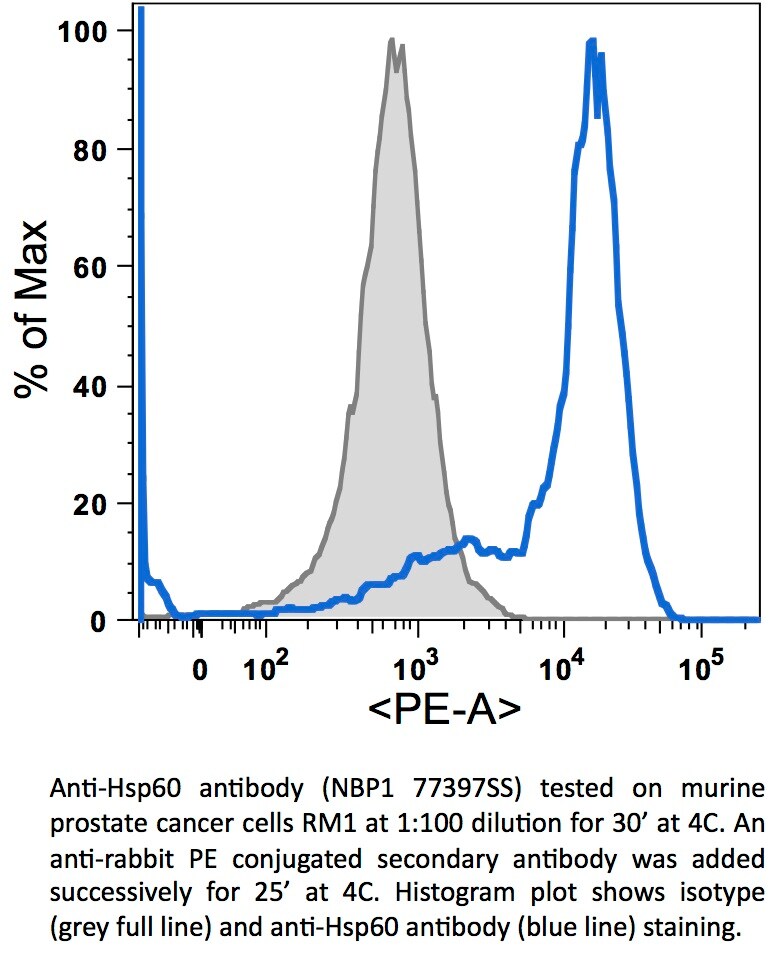 HSP60 Antibody - BSA Free NBP1-77397