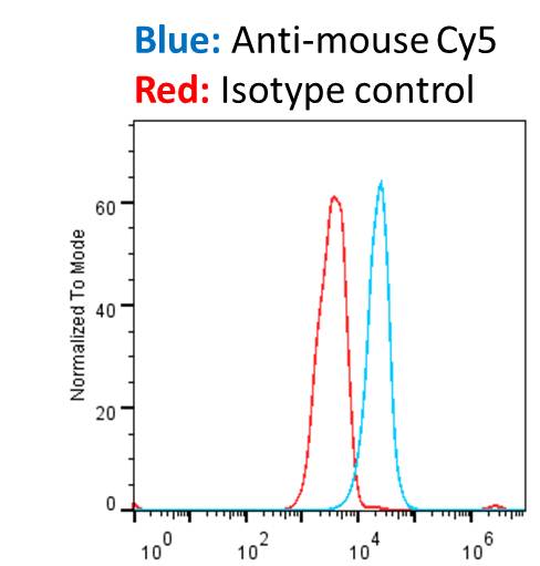 Goat anti-Mouse IgG (H+L) Secondary Antibody [Cy5] (Pre-adsorbed) NB7602