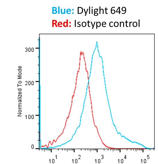 Goat anti-Mouse IgG Fc Secondary Antibody [DyLight 650] (Pre-adsorbed) NBP1-51898