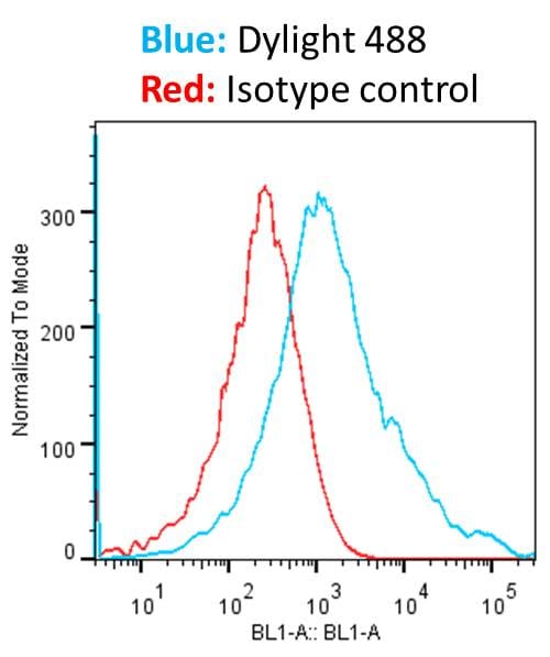 Goat anti-Mouse IgG (H+L) Secondary Antibody [DyLight 488] (Pre-adsorbed) NBP1-72874