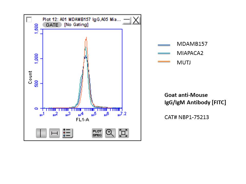 Goat anti-Mouse IgG/IgM (H+L) Secondary Antibody [FITC] NBP1-75213