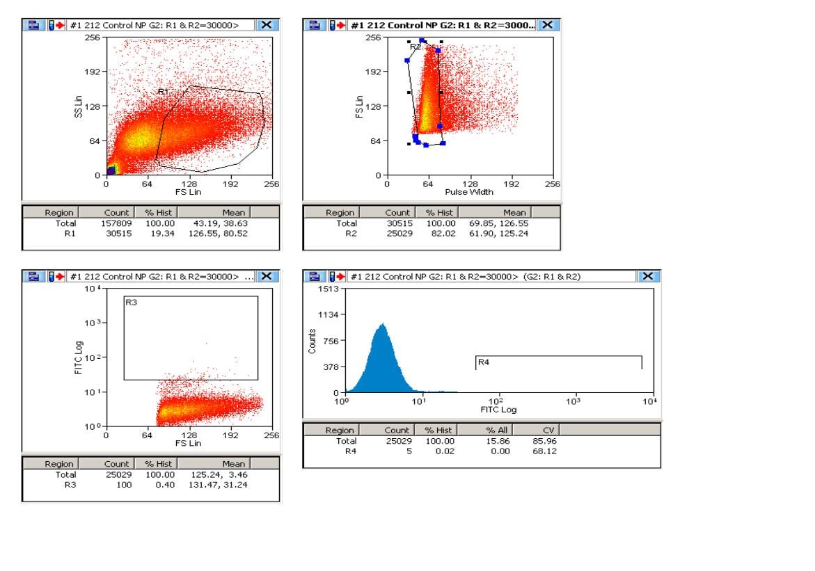 Mouse IgG2B Alexa Fluor® 488-conjugated Isotype Control IC0041G
