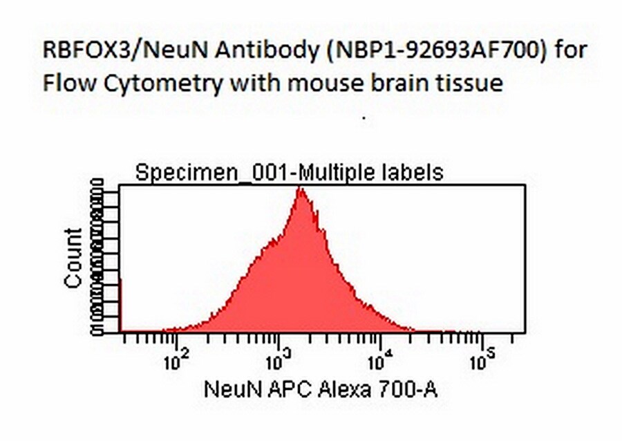 RBFOX3/NeuN Antibody (1B7) [Alexa Fluor® 700] NBP1-92693AF700