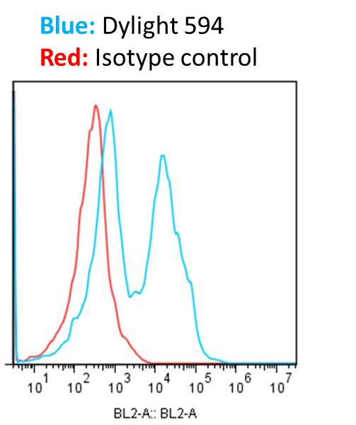Donkey anti-Rabbit IgG (H+L) Secondary Antibody [DyLight 594] (Pre-adsorbed) NBP1-75642