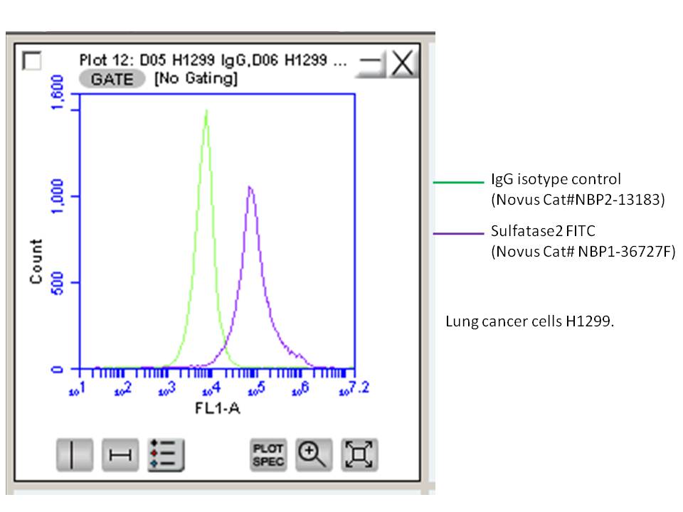 Sulfatase-2/SULF2 Antibody (2B4) [FITC] NBP1-36727F