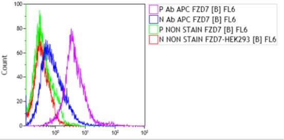 Human/Mouse Frizzled‑7 APC‑conjugated Antibody FAB1981A
