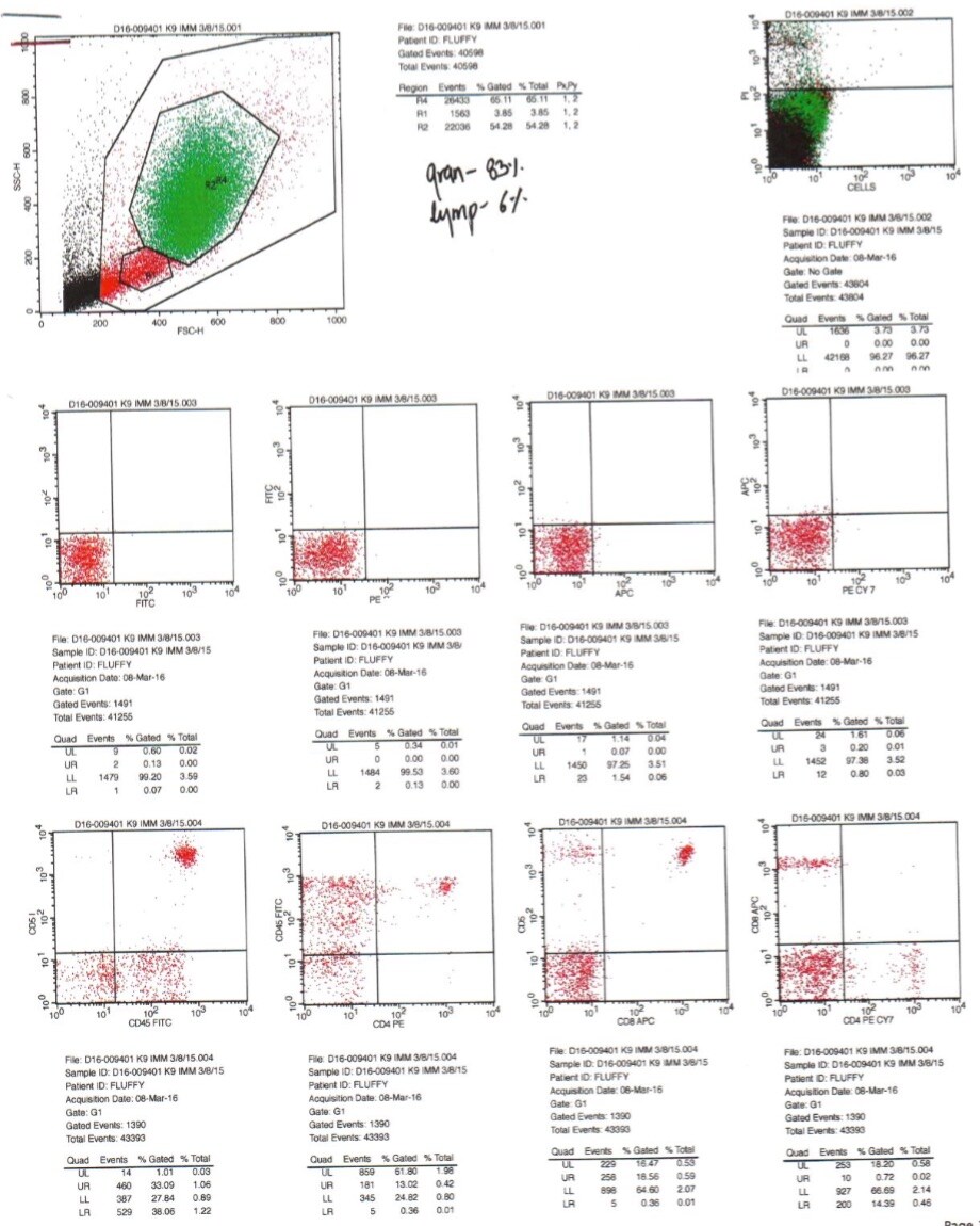 Canine CD4 PE‑conjugated Antibody FAB2410P