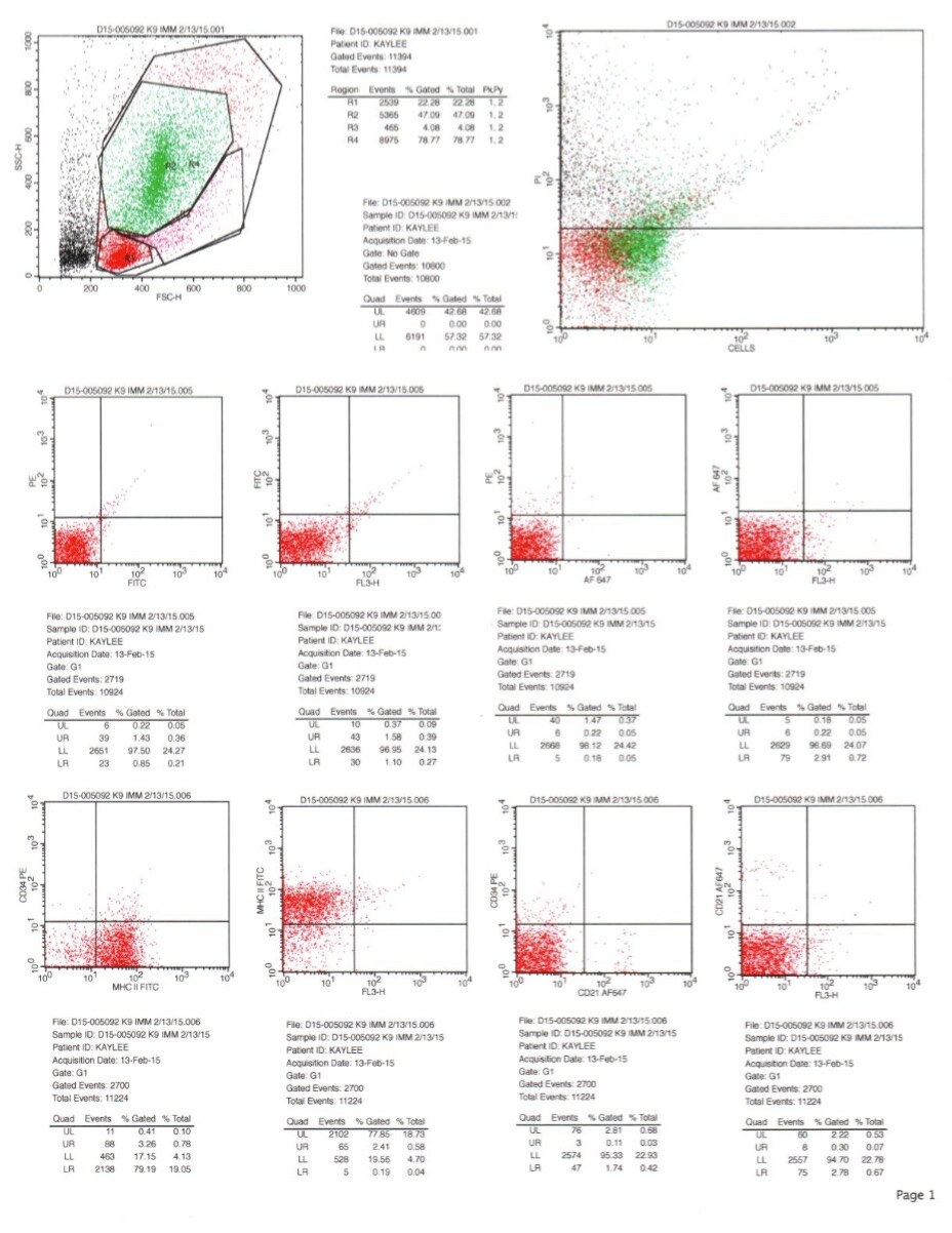 Canine CD34 PE‑conjugated Antibody FAB3346P