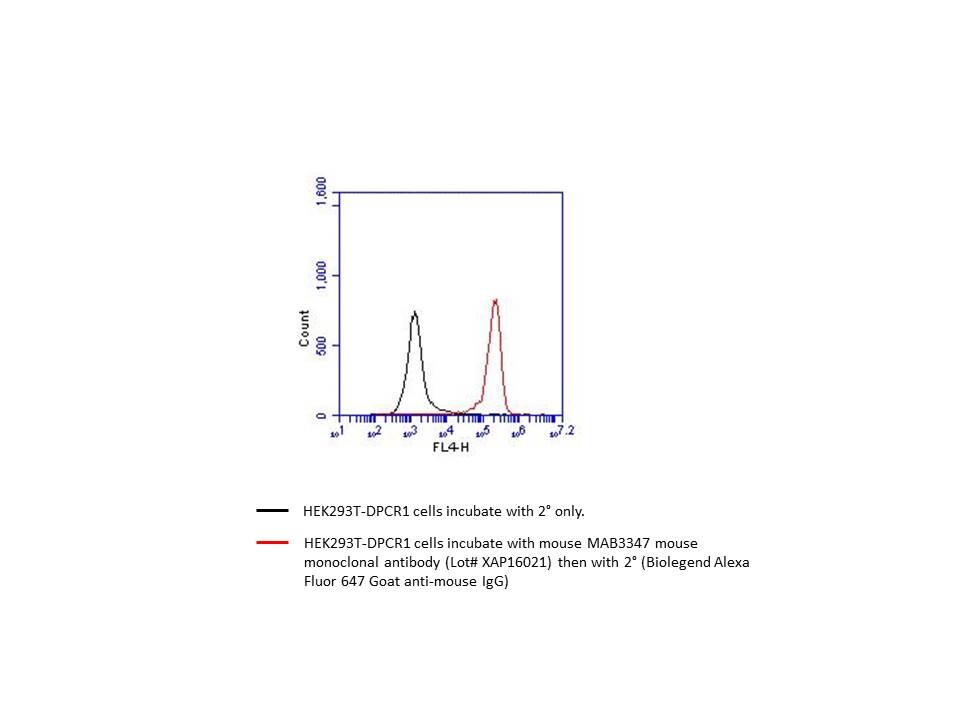 Human DPCR‑1 Antibody MAB3347