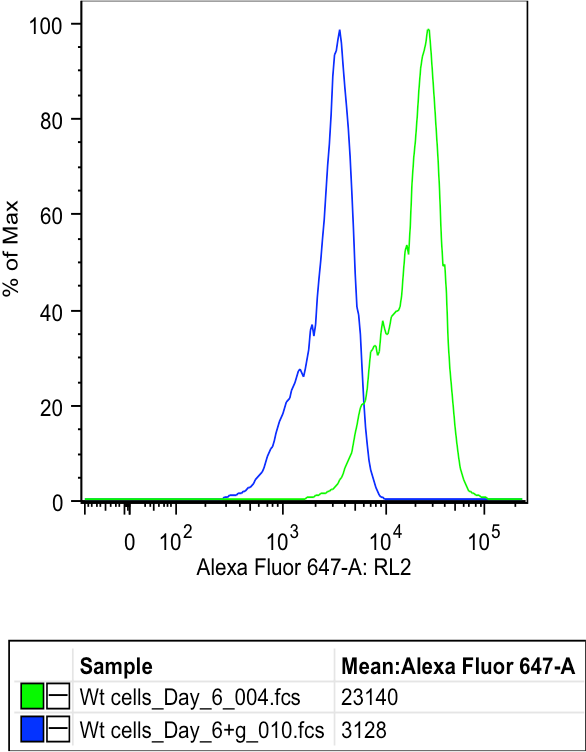 O-GlcNAc Antibody (RL2) [Alexa Fluor® 647] NB300-524AF647