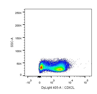 L-Selectin/CD62L Antibody (DREG56) [DyLight 405] NBP1-42795V