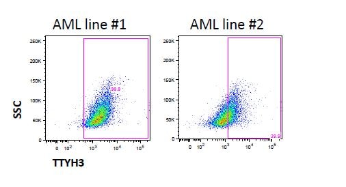 TTYH3 Antibody - BSA Free NBP1-91350