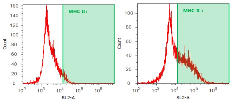 Mouse IgG1 Isotype Control (MG1) NBP1-97005