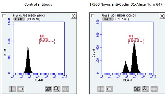 Cyclin D1 Antibody (DCS-6) [Alexa Fluor® 647] NBP2-33138AF647
