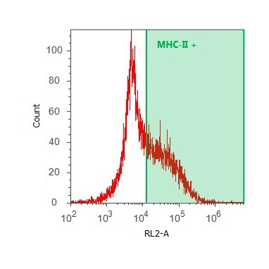 MHC Class II Antibody (CVS20) - BSA Free NBP2-34848