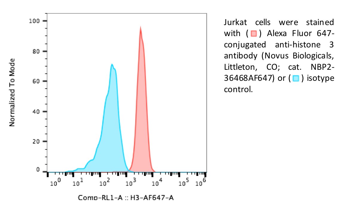 Histone H3 Antibody (1B1-B2) [Alexa Fluor® 647] NBP2-36468AF647