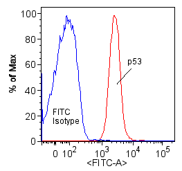 p53 Antibody - BSA Free NB200-171