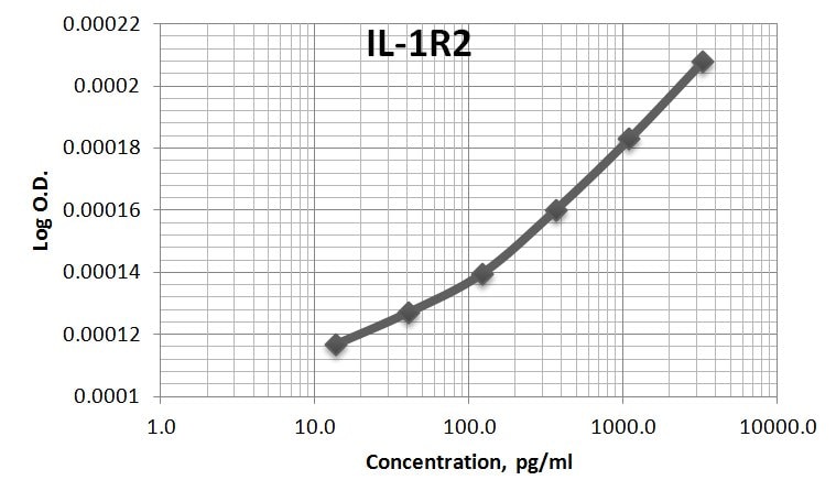 Recombinant Human IL-1 RII Protein 263-2R