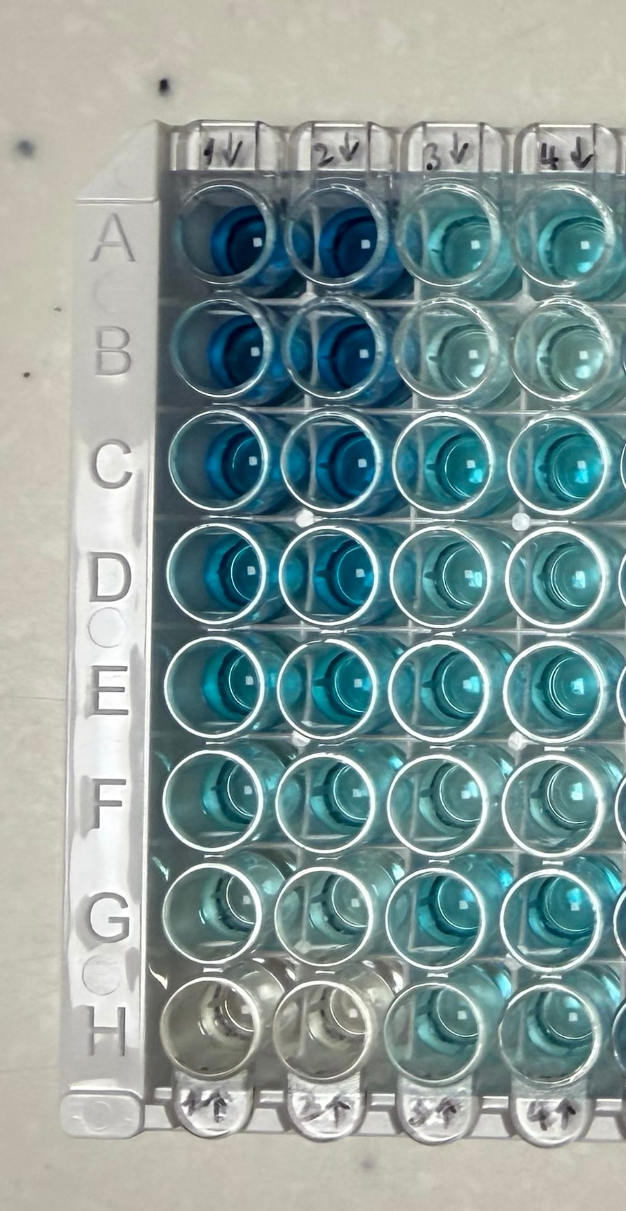 Human IL-6 DuoSet ELISA DY206