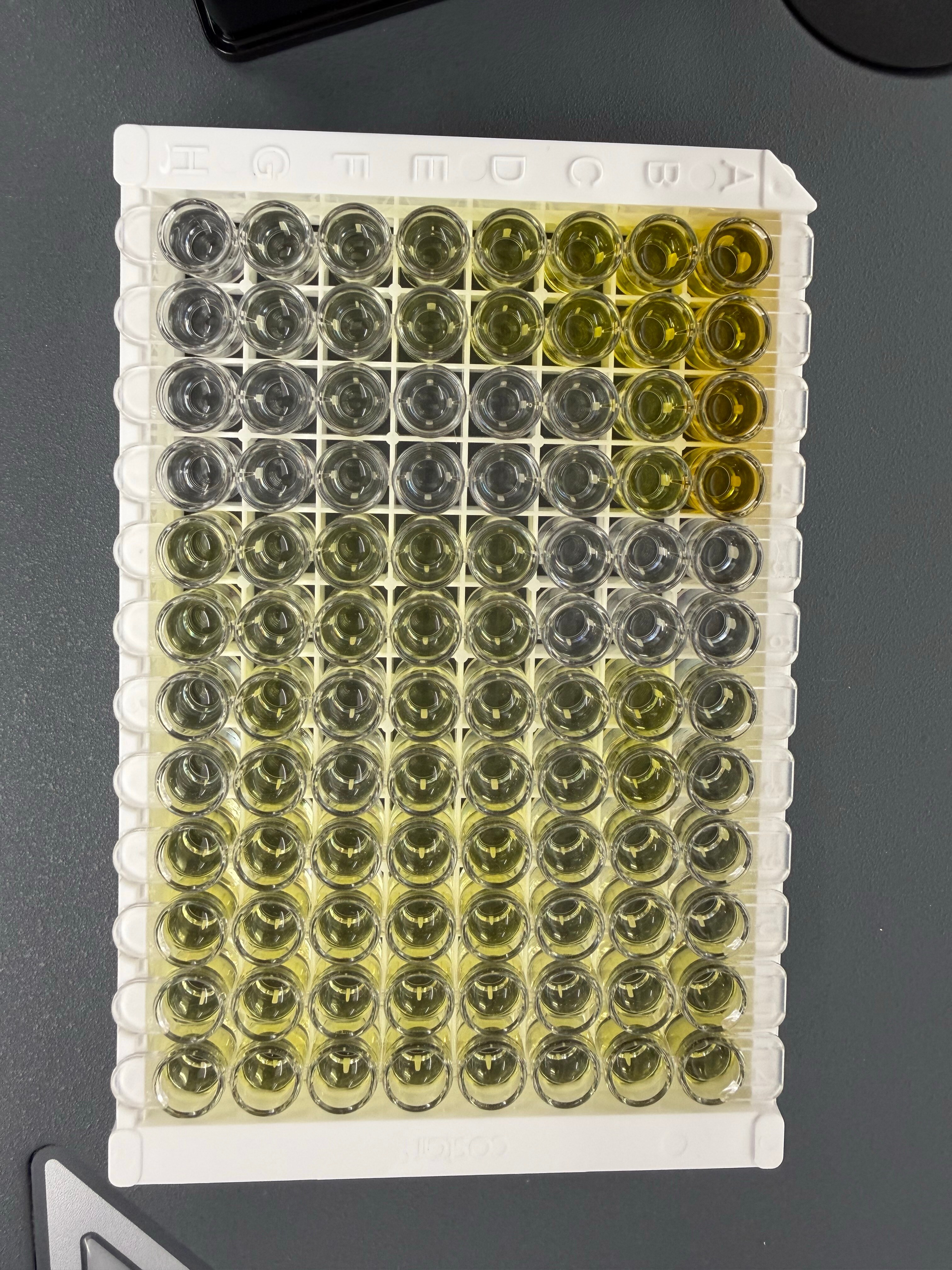 Human TRAIL/TNFSF10 Quantikine ELISA Kit DTRL00