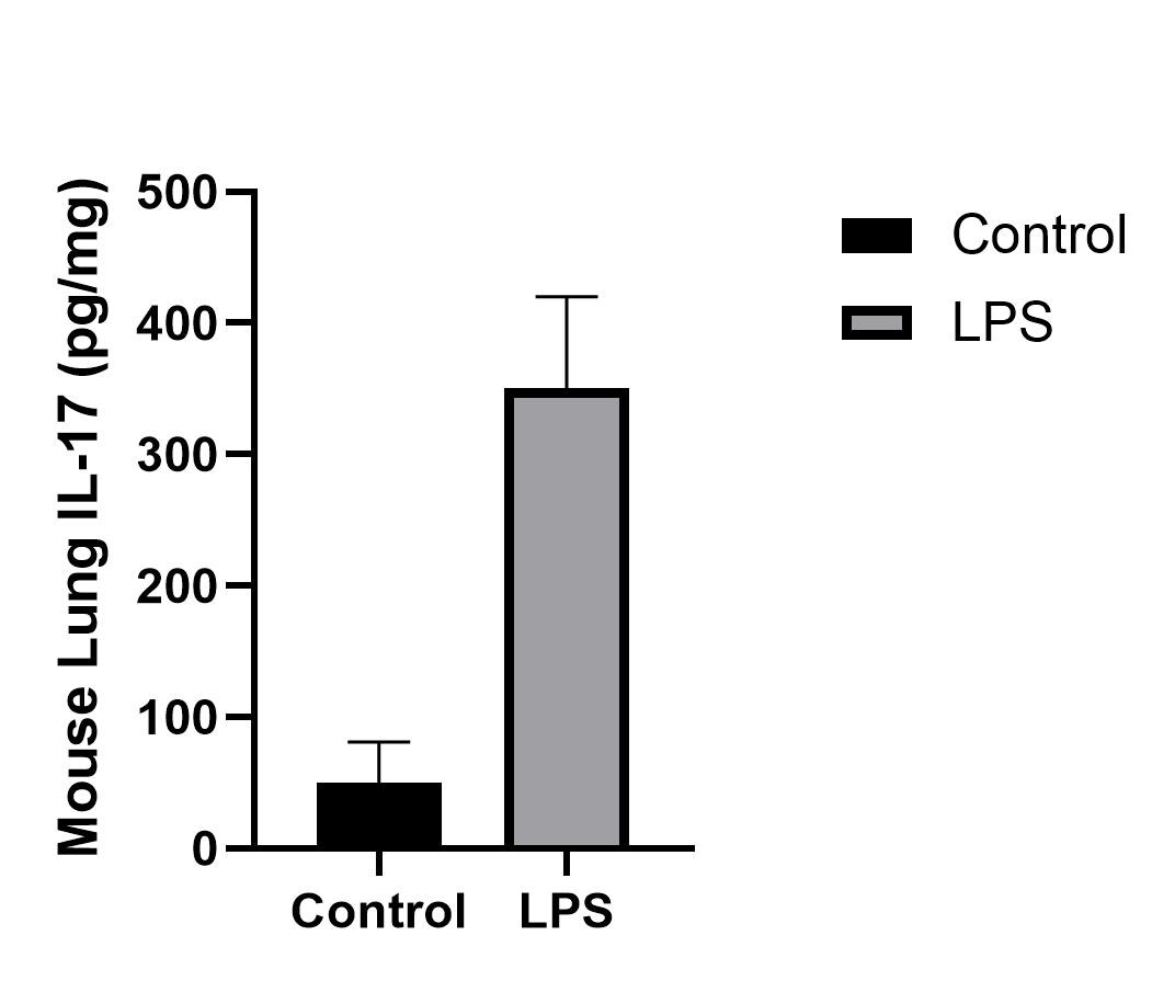Mouse IL-17  Quantikine HS ELISA Kit MHS170