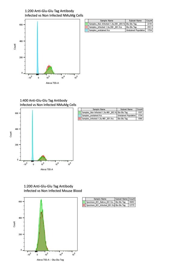 Glu-Glu Epitope Tag Antibody - BSA Free NB600-354