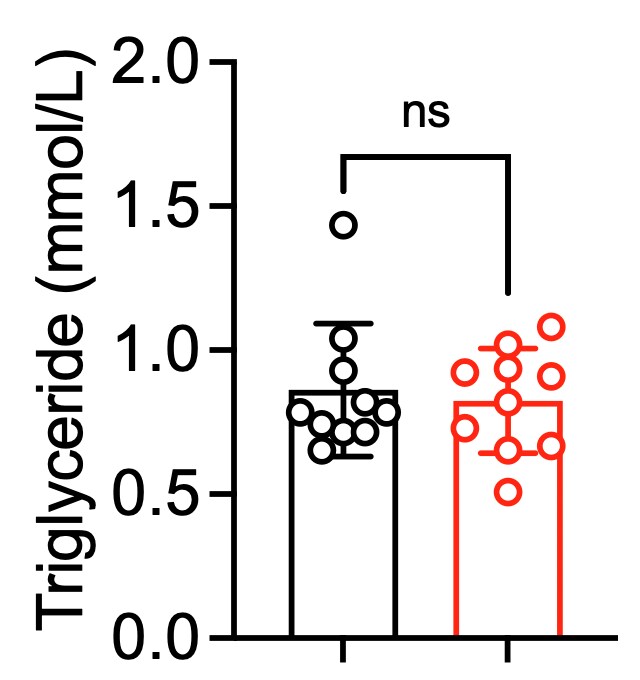 Triglyceride Assay Kit (Colorimetric) NBP3-24540