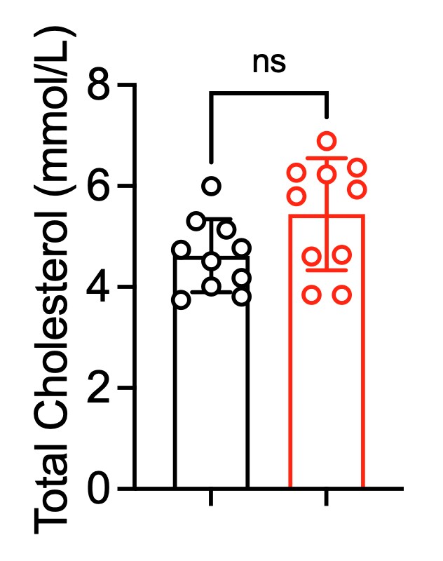 Total Cholesterol Assay Kit (Colorimetric) NBP3-25834