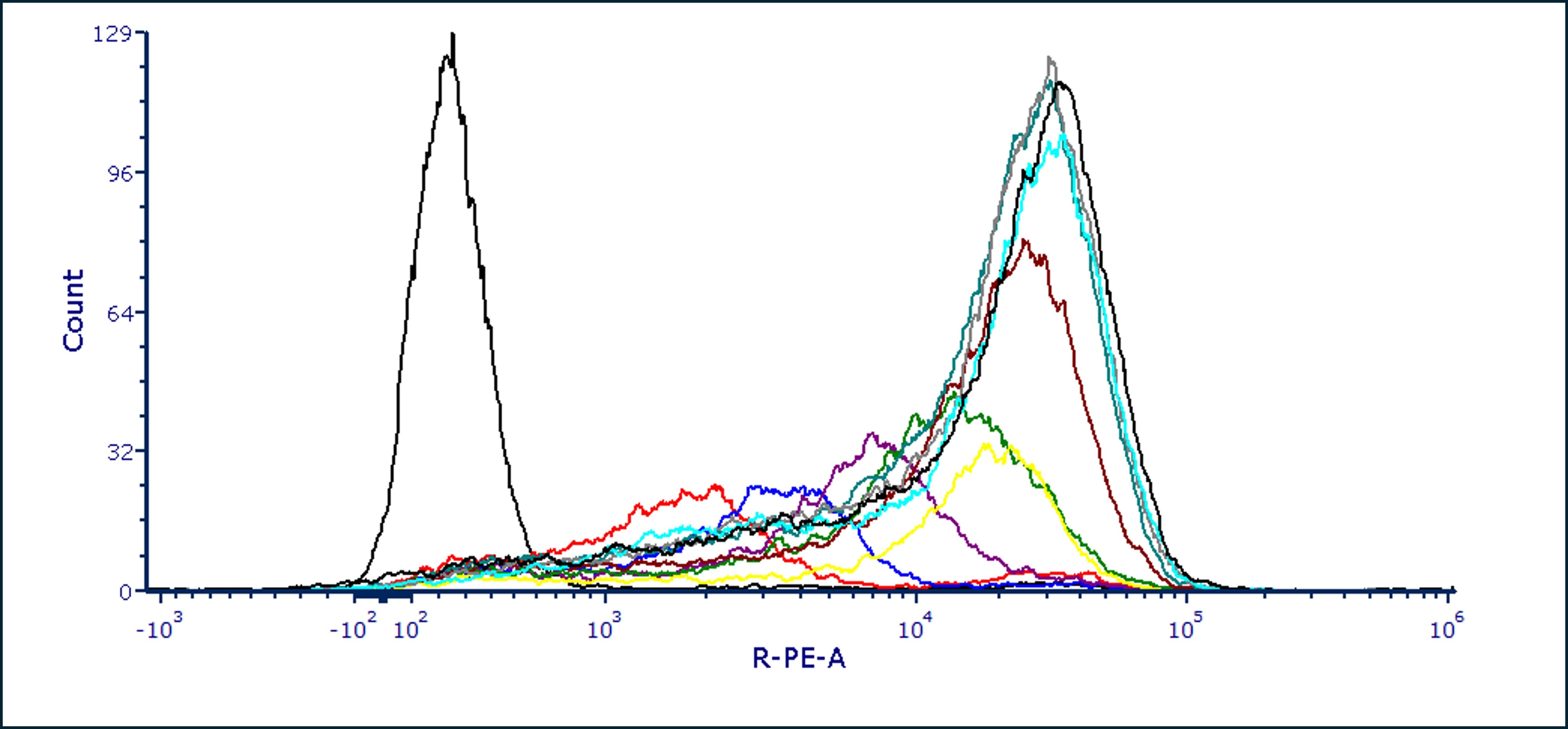 Human MMP‑14/MT1‑MMP PE‑conjugated Antibody FAB9181P