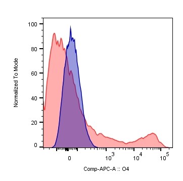  Oligodendrocyte Marker O4 APC-conjugated Antibody FAB1326A