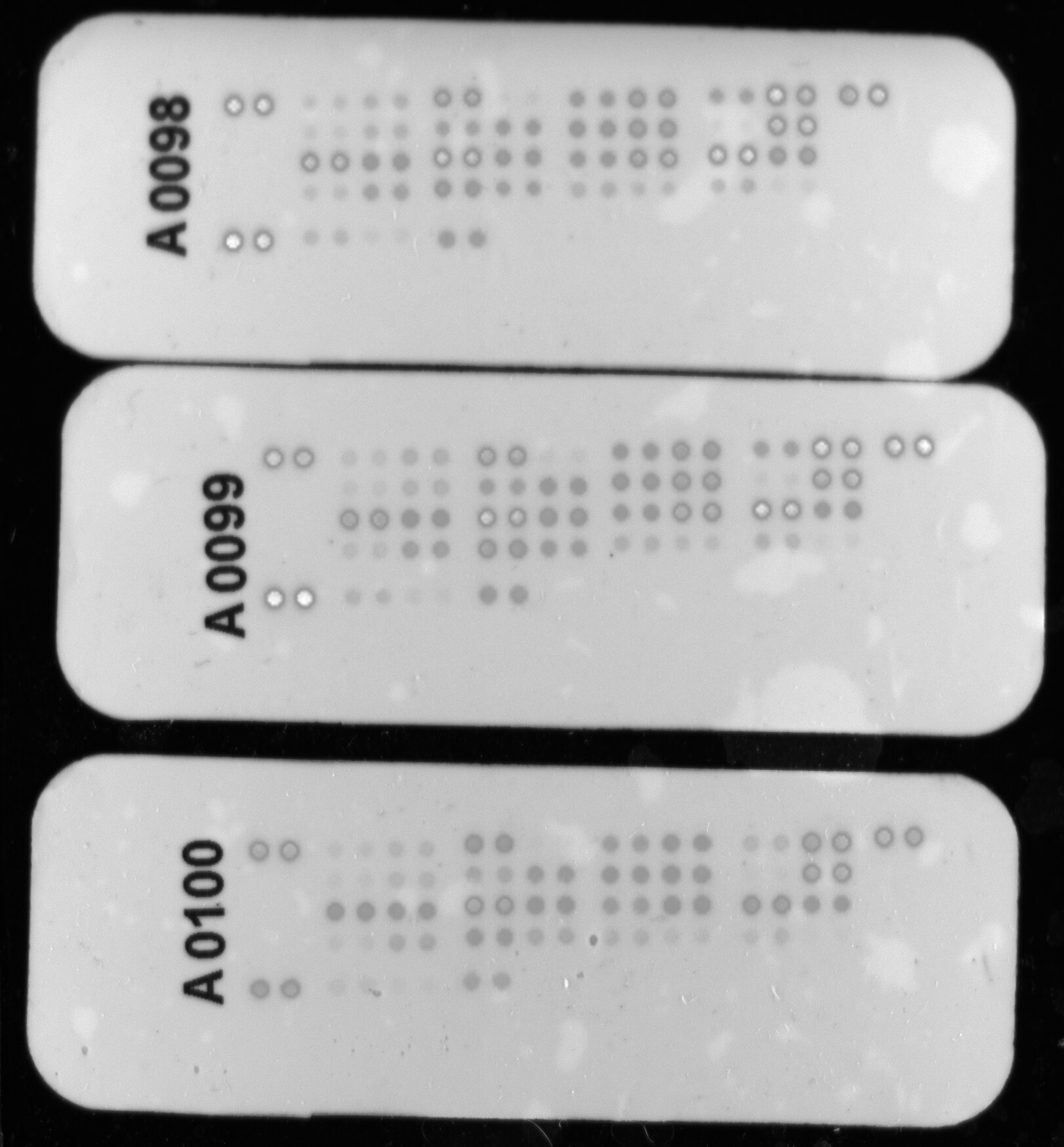 Proteome Profiler Human Protease Array Kit ARY021B