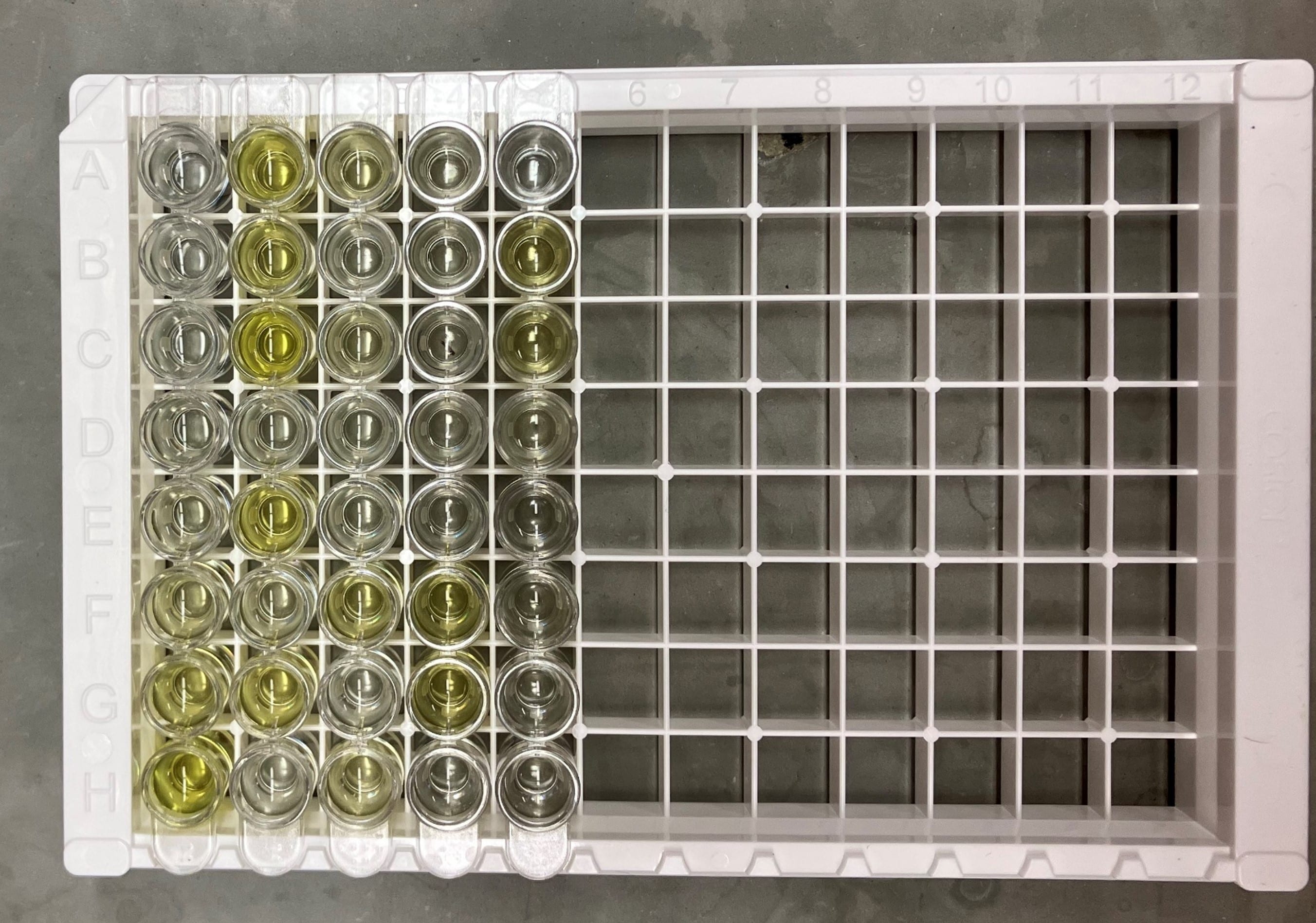 Lysyl Oxidase Homolog 2/LOXL2 Antibody - BSA Free NBP1-32954