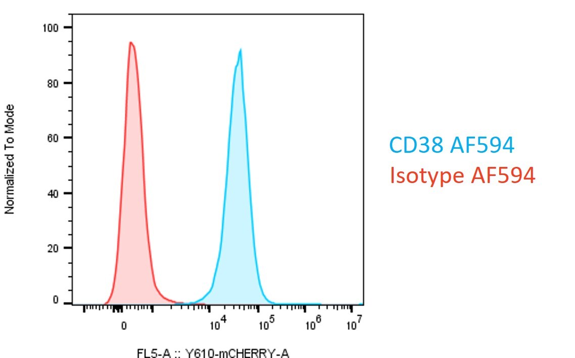 Human CD38 Antibody (240742) [Alexa Fluor® 594] FAB2404T