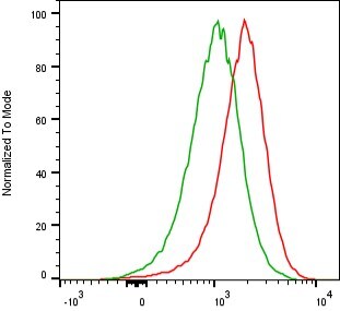 Human LRRC15 Antibody (2944A) [Alexa Fluor® 750] FAB11324S