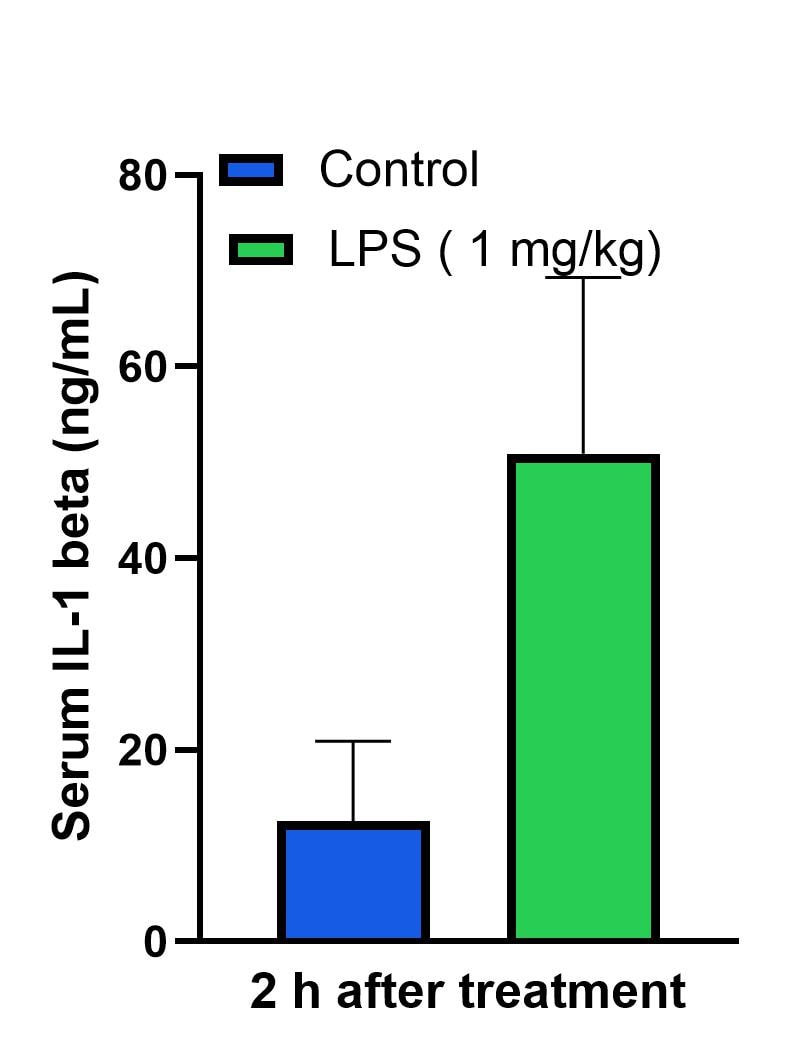 Rat IL-1 beta/IL-1F2 Quantikine ELISA Kit RLB00