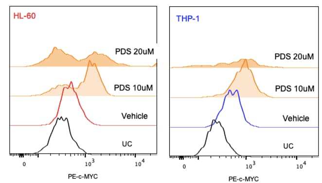 Human c‑Myc PE‑conjugated Antibody IC3696P