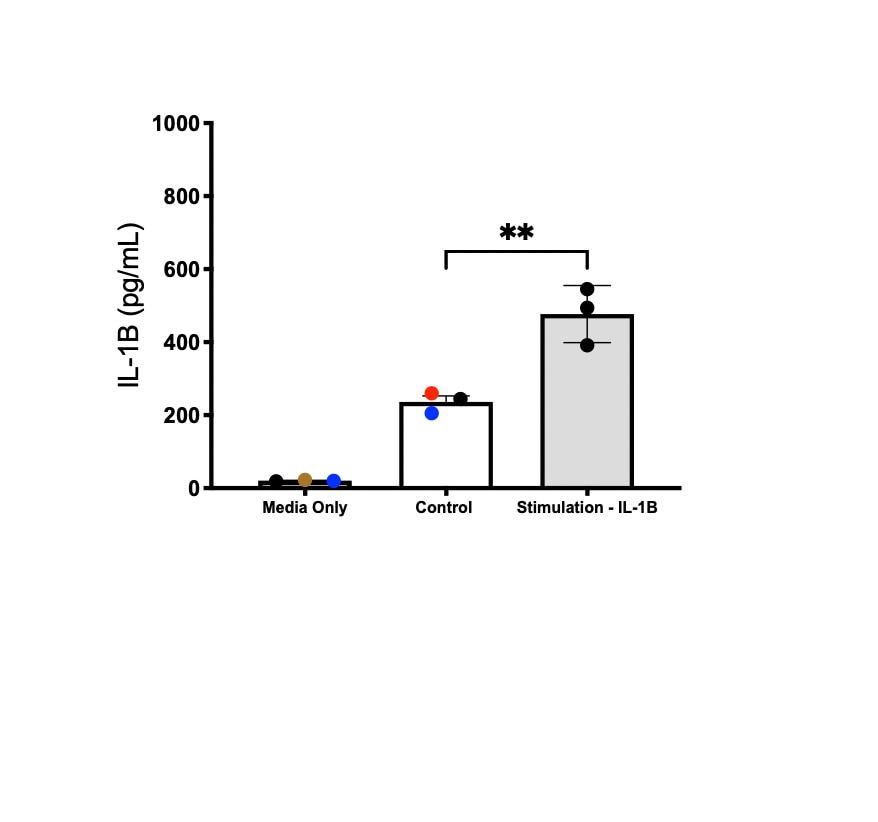 Recombinant Human TNF-alpha (HEK293-expressed) Protein, CF 10291-TA