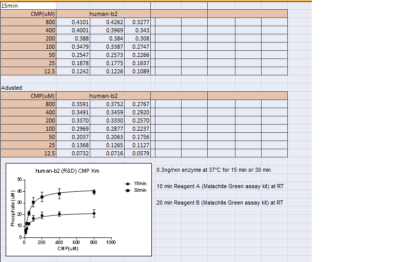 Malachite Green Phosphate Detection Kit DY996