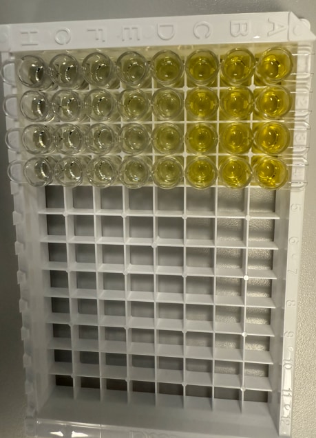 Human GDNF DuoSet ELISA DY212