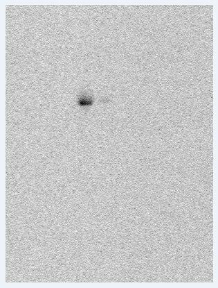 TARS Antibody - BSA Free NBP2-20567