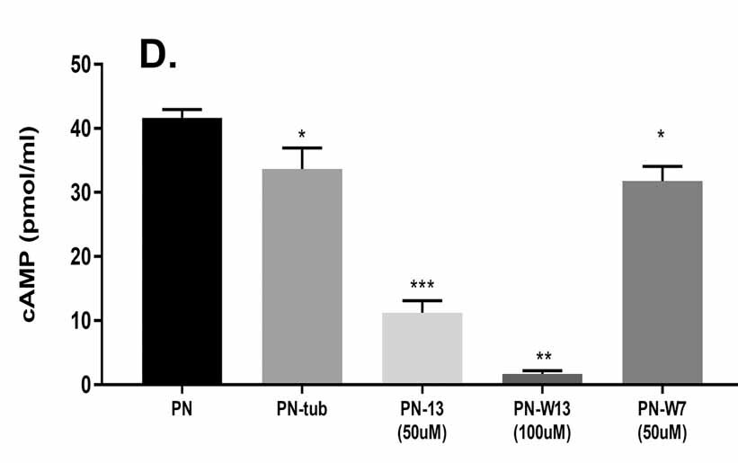 W-13 hydrochloride 0361