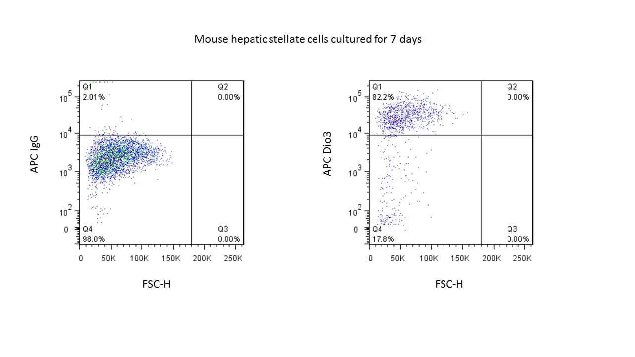 DIO3 Antibody [Biotin] NBP1-05767B